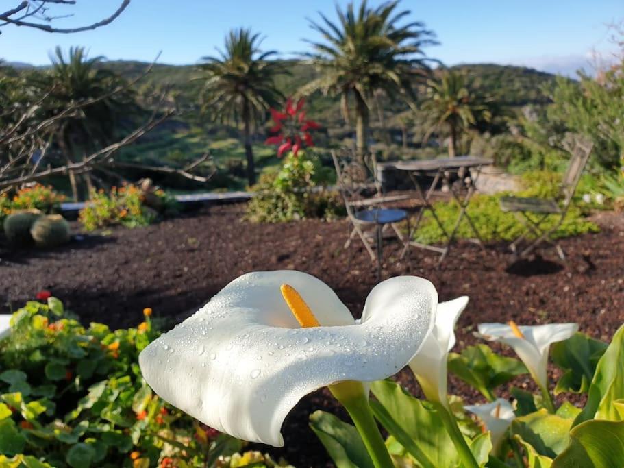 Casa Tara Ruhe Und Entspannung, Natur Pur Acardece 외부 사진