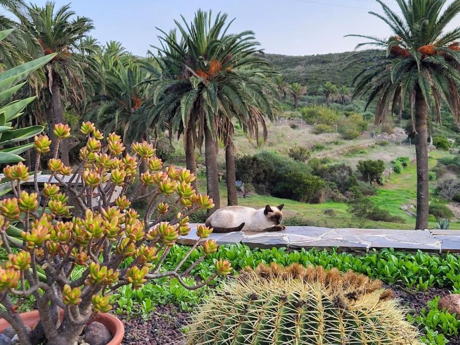 Casa Tara Ruhe Und Entspannung, Natur Pur Acardece 외부 사진