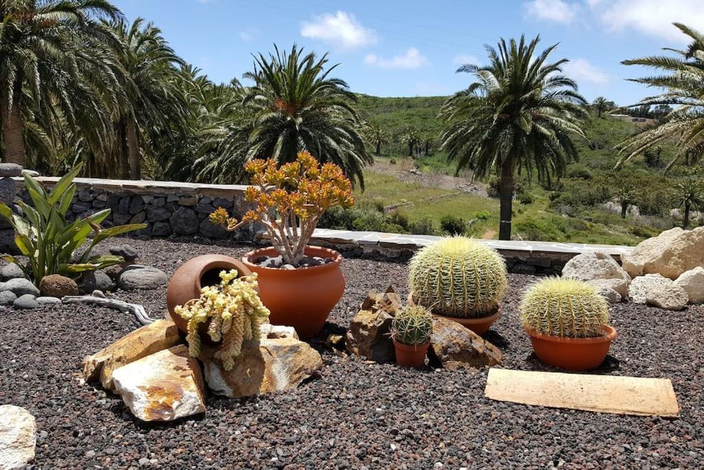 Casa Tara Ruhe Und Entspannung, Natur Pur Acardece 외부 사진